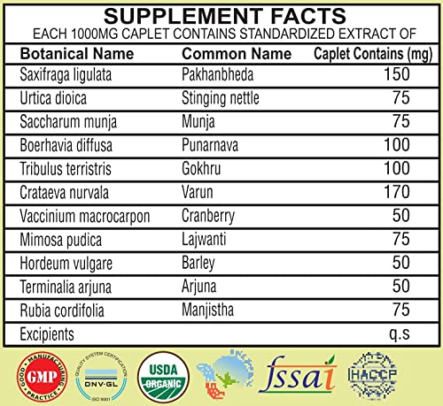 AYURVEDASHREE Kidney Support Image