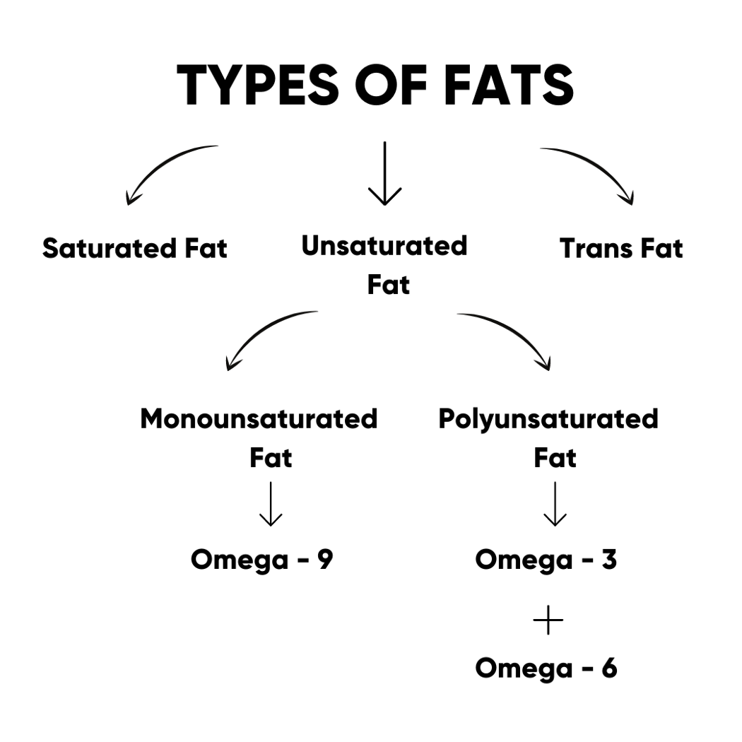Types Of Fat