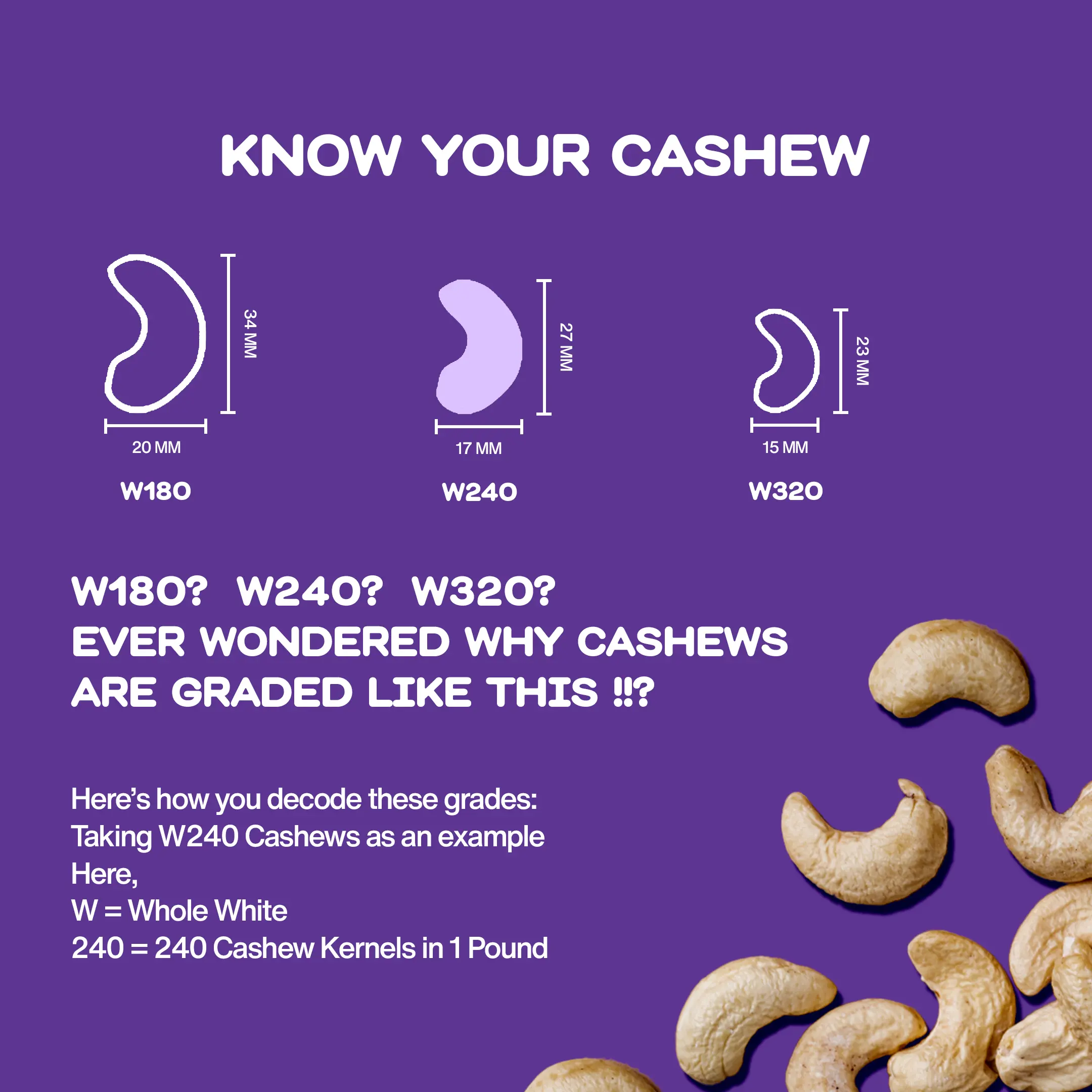 The Rare Food Company Cashew 240 Image